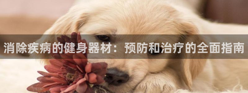 耀世平台注册开户：消除疾病的健身器材：预防和治疗的全