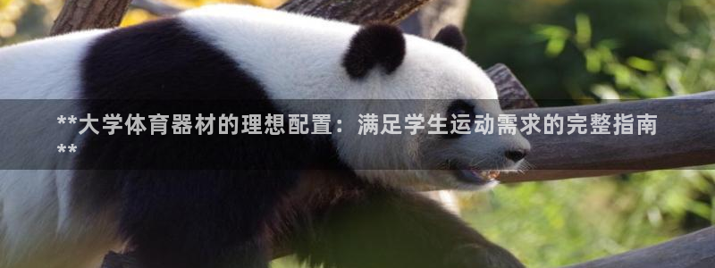 耀世集团王大聪简介：**大学体育器材的理想配置：满足
