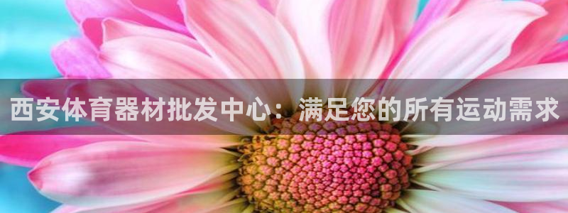耀世平台注册登录：西安体育器材批发中心：满足您的所有