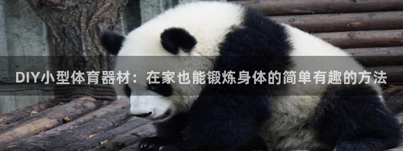 耀世辉煌：DIY小型体育器材：在家也能锻炼身体的简单