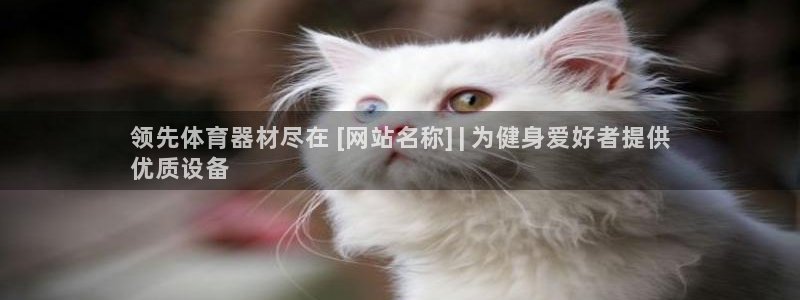 耀世平台地址：领先体育器材尽在 [网站名称] | 为