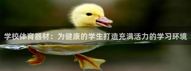耀世集团员工福利待遇：学校体育器材：为健康的学生打造