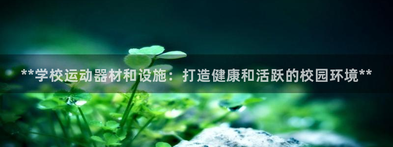 耀世集团王总：**学校运动器材和设施：打造健康和活跃