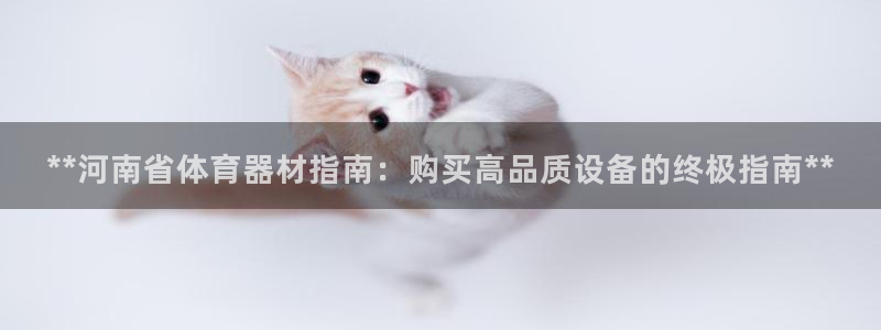 耀世平台代理怎么做任务：**河南省体育器材指南：购买