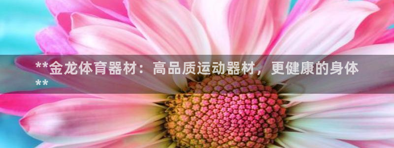 耀世娱乐佳 5O6917 娱乐：**金龙体育器材：高