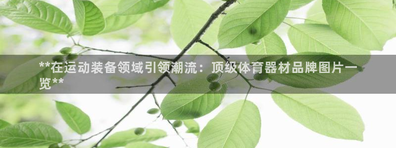耀世娱乐官网注册流程：**在运动装备领域引领潮流：顶