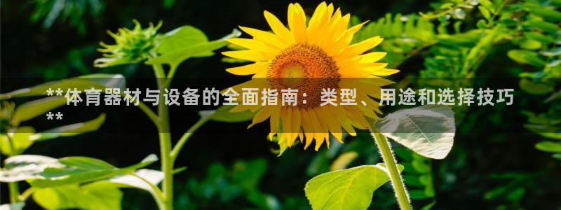 耀世平台华 5O6917 平台：**体育器材与设备的