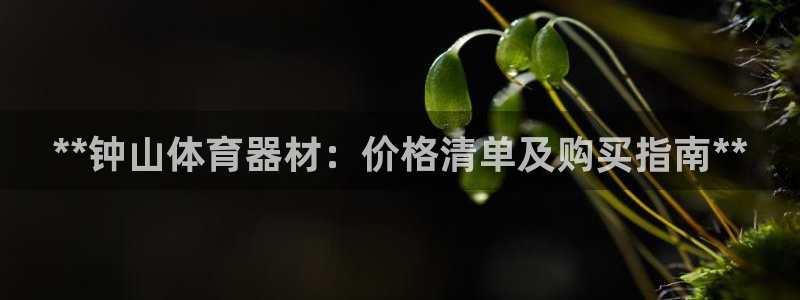 耀世娱乐是什么：**钟山体育器材：价格清单及购买指南