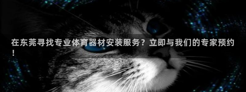 耀世娱乐app下载安装：在东莞寻找专业体育器材安装服