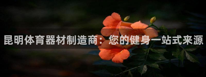 耀世娱乐官网网站：昆明体育器材制造商：您的健身一站式