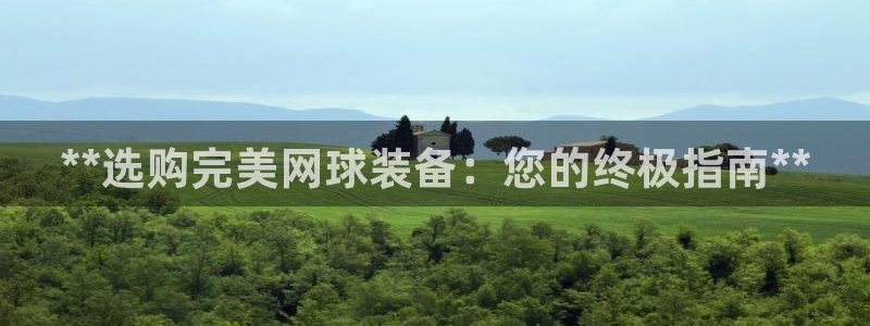 耀世天下：**选购完美网球装备：您的终极指南**