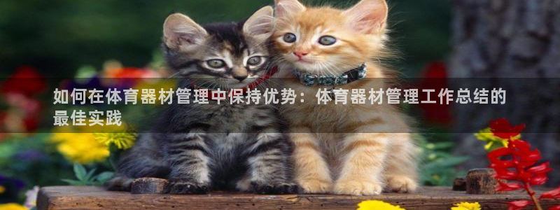 耀世平台开户联4.8.7.7.8.4他系稳定吗：如何