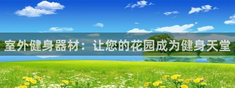耀世集团是干嘛的企业：室外健身器材：让您的花园成为健