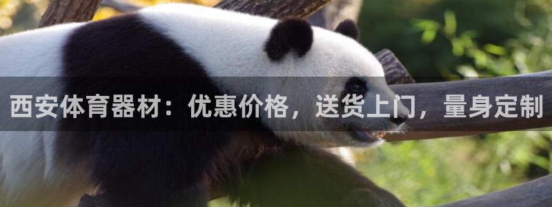 耀世娱乐官网注册账号：西安体育器材：优惠价格，送货上