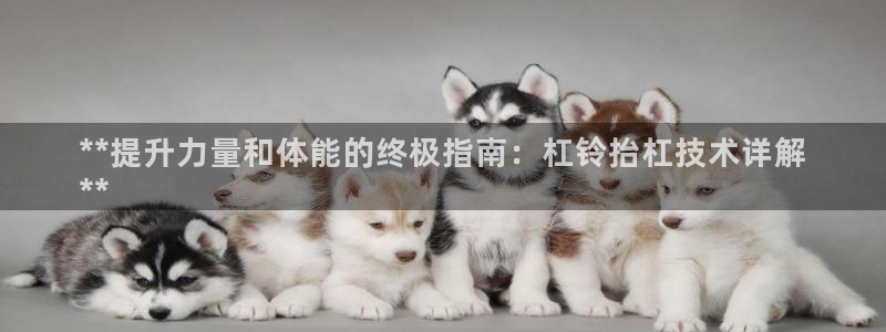 耀世集团是干嘛的：**提升力量和体能的终极指南：杠铃