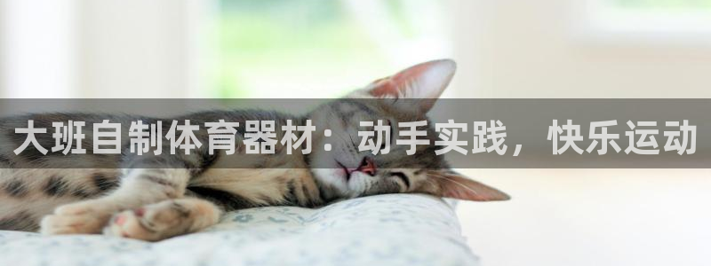 耀世娱乐升 5O6917 娱乐：大班自制体育器材：动