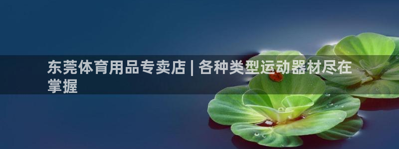 耀世娱乐是玛雅旗下的吗知乎：东莞体育用品专卖店 | 各种类型