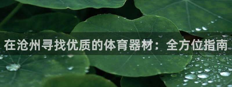 耀世油烟机价格及图片：在沧州寻找优质的体育器材：全方