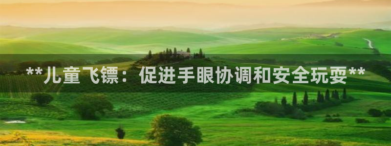 耀世平台登录地址在哪：**儿童飞镖：促进手眼协调和安