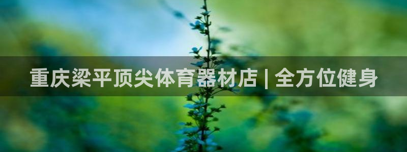 耀世平台负责人是谁：重庆梁平顶尖体育器材店 | 全方