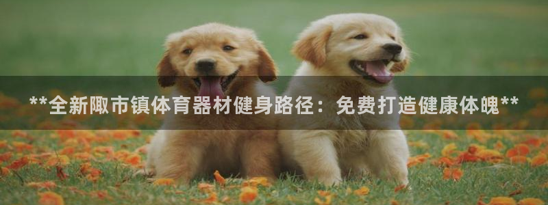 耀世平台代理多少钱一个：**全新陬市镇体育器材健身路