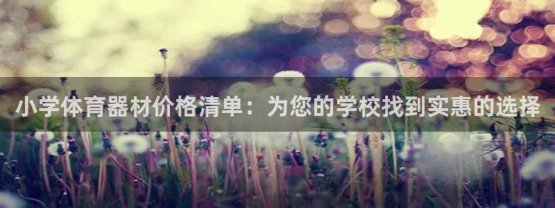 耀世登场后面一句：小学体育器材价格清单：为您的学校找