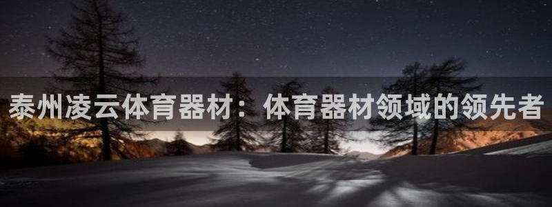 耀世平台总代理：泰州凌云体育器材：体育器材领域的领先