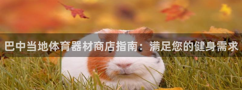 耀世娱乐百科百度：巴中当地体育器材商店指南：满足您的