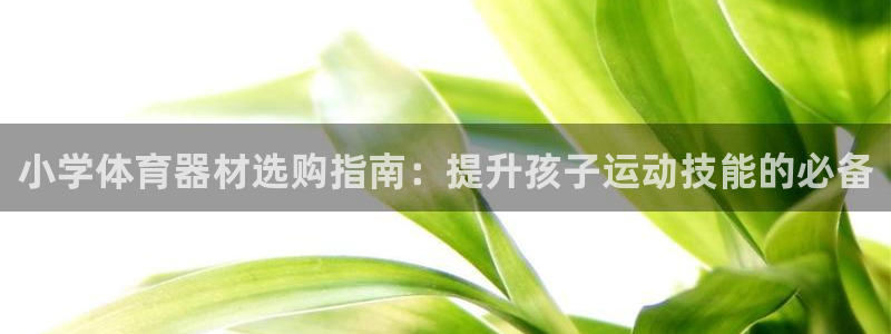 耀世娱乐app下载安装最新版：小学体育器材选购指南：