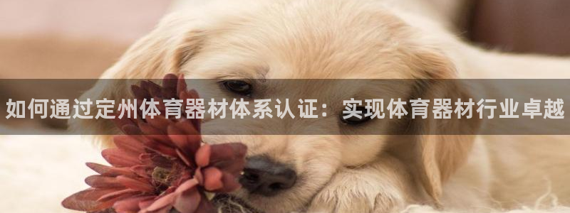 耀世微光下载：如何通过定州体育器材体系认证：实现体育器材行业