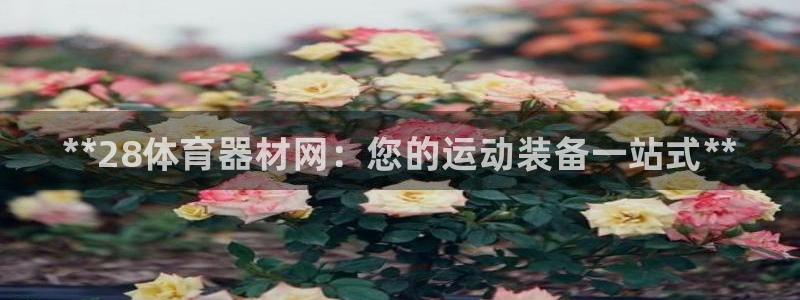 耀世集团王大聪简介