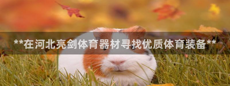 耀世国际平台正规吗可信吗知乎：**在河北亮剑体育器材