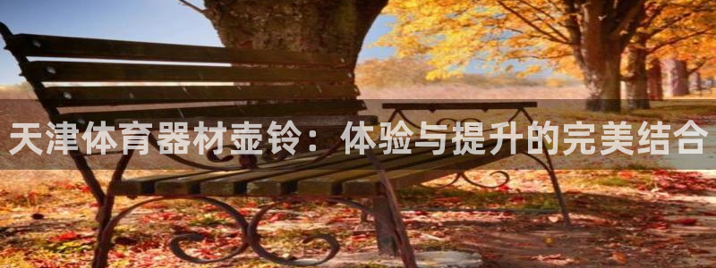 耀世x4：天津体育器材壶铃：体验与提升的完美结合