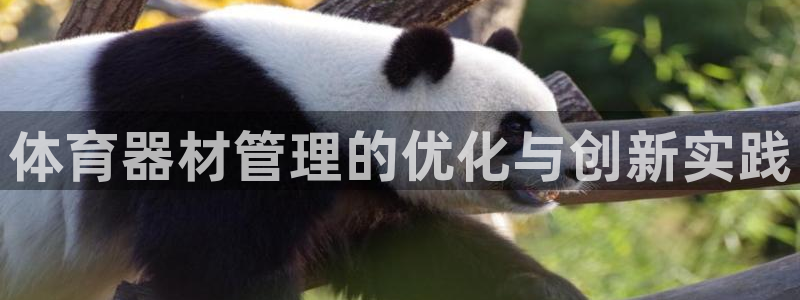 耀世娱乐几年了?：体育器材管理的优化与创新实践