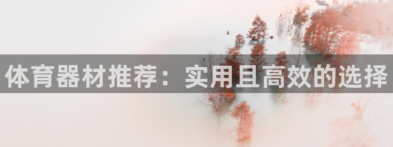 耀世娱乐圈主管：体育器材推荐：实用且高效的选择