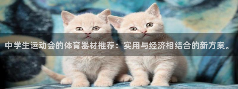 耀世娱乐平台官网下载:中学生运动会的体育器材推荐:实用与经济