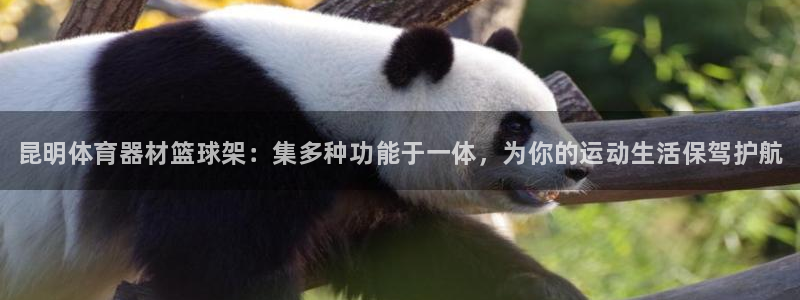 耀世登场的意思:昆明体育器材篮球架:集多种功能于一体,为你的