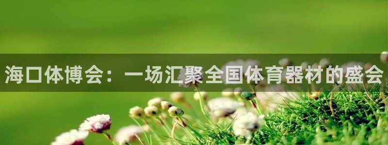 耀世平台登录地址在哪：海口体博会：一场汇聚全国体育器材的盛会