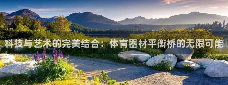 耀世平台注册网址是什么啊：科技与艺术的完美结合：体育器材平衡