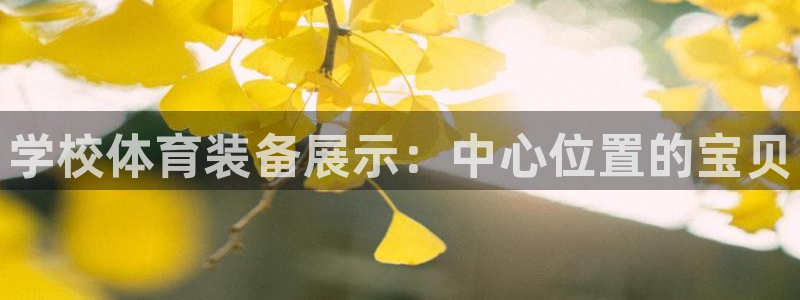 耀世挑战攻略：学校体育装备展示：中心位置的宝贝