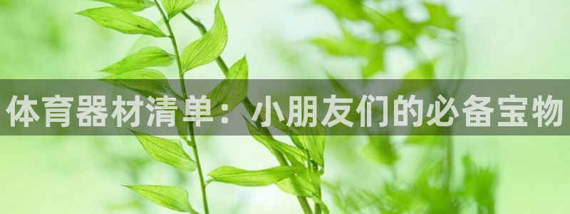 耀世娱乐能不能提现到微信：体育器材清单：小朋友们的必备宝物