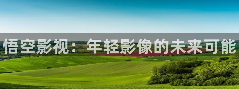 宅男视频新版：悟空影视：年轻影像的未来可能
