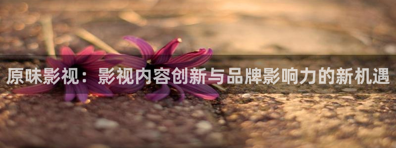 宅男视频在线免费看：原味影视：影视内容创新与品牌影响力的新机遇