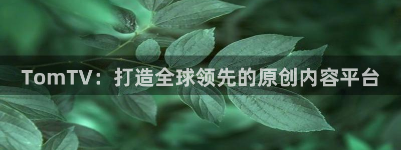 日韩宅男视频：TomTV：打造全球领先的原创内容平台