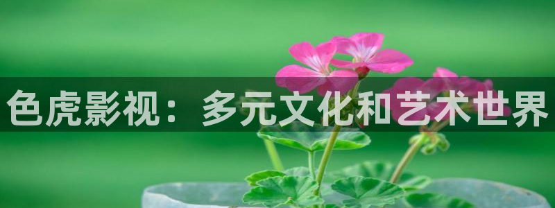 宅宅男视频：色虎影视：多元文化和艺术世界