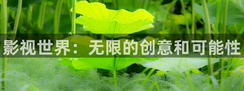 久久宅男视频：影视世界：无限的创意和可能性