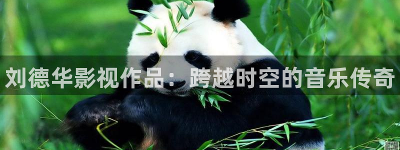 宅男视频网：刘德华影视作品：跨越时空的音乐传奇