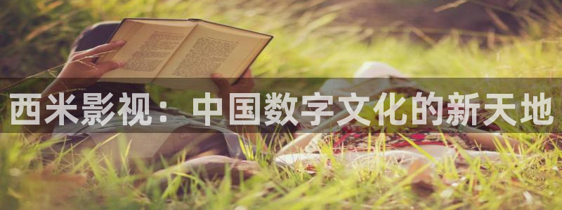 宅男视频app：西米影视：中国数字文化的新天地